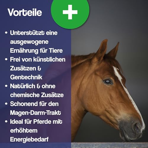 Gebrüder Goller 25kg Haferschrot – Hochwertiges Pferdefutter, Geschroteter Hafer für Pferde, Kraftfutter & Walzhafer Futtermittel - 100% Natur aus direkt aus Bayern