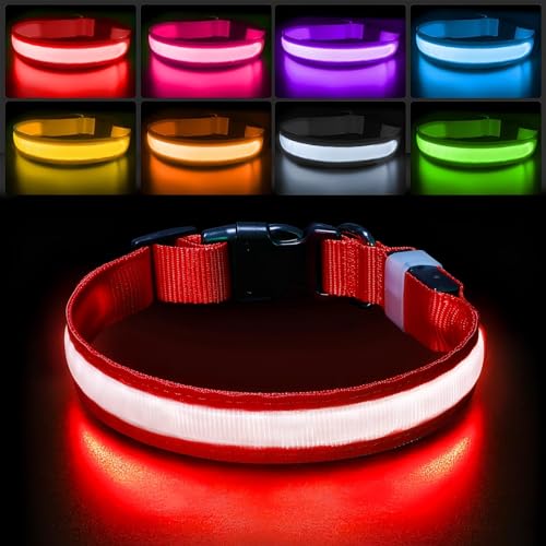 PcEoTllar Collar Luz para Perro Recargable, Rojo L