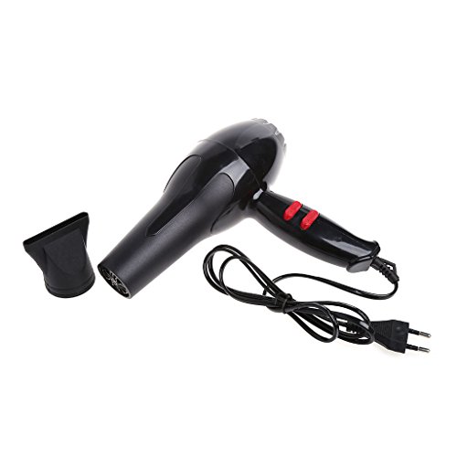 Secador de pelo profesional de 1800 W con soplador de calor negro