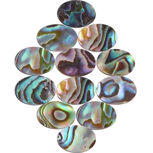 [NOLITOY] �A���r�L�J�{�V�����`���[�� 12�Z�b�g 10x14mm �t���b�g�o�b�N���� �y���_���g �C�������O�p DIY�W���G���[�ޗ� ����A�N�Z�T���[