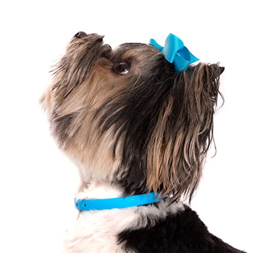 Collar para perros pequeño ajustable azul Nuvuq miniatura 6