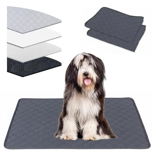 Lifetips �r�A�f�b�h�E�R���[�iBearded Collie�j �􂦂�y�b�g�V�[�c �y�b�g�V�[�c �􂦂� 2���Z�b�g ����~�� ���V�[�c���C�h ���������V�[�g ���L �ۂ��Ɛ􂦂� ���~���}�b�g �l�d�\�� �R��h�~ ���� ����~�� ���^ ��^ �� ���p