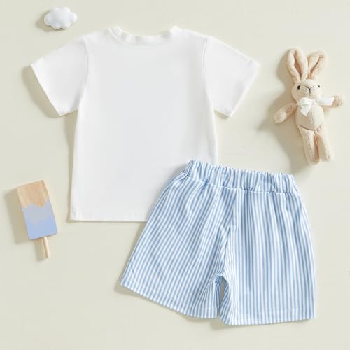 Image of Toddler Baby Boy Easter Rabbit Outfit Short Sleeve Bunny Carrot Smocked T-shirt Elastic Waist Shorts Summer Clothes