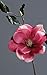 Produktbild MAGNOLIE PICK PINK 35CM 42009-17