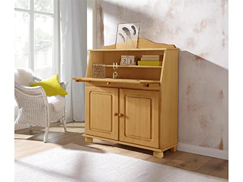 REALROOMS Chester Solid Wood Storage Desk with Bottom Closed Storage Cabinet, Stained Brown