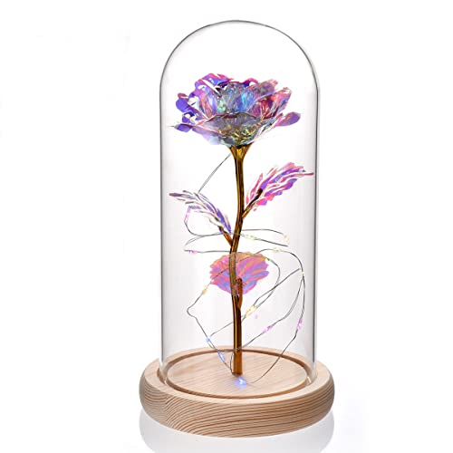 Morwealth Cadeau Femme Rose Eternelle sous Cloch, Fleur eternelle en Verre avec lumière LED pour la Saint-Valentin, la fête des mères, Un Anniversaire,Cadeau de Noël pour Femme,Maman, Petite Amie Cover