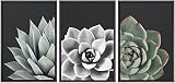 SIGNWIN Framed Wall Art Print Set Desert Rose Echeveria Succulent Set Nature Plants Photography Modern Art Closeup Relax/Calm Dark Black and White for Living Room, Bedroom, Office - 16'x24'x3 Black