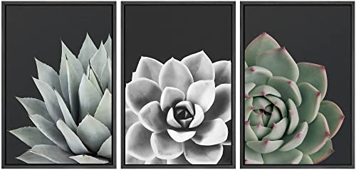 SIGNWIN Framed Wall Art Print Set Desert Rose Echeveria Succulent