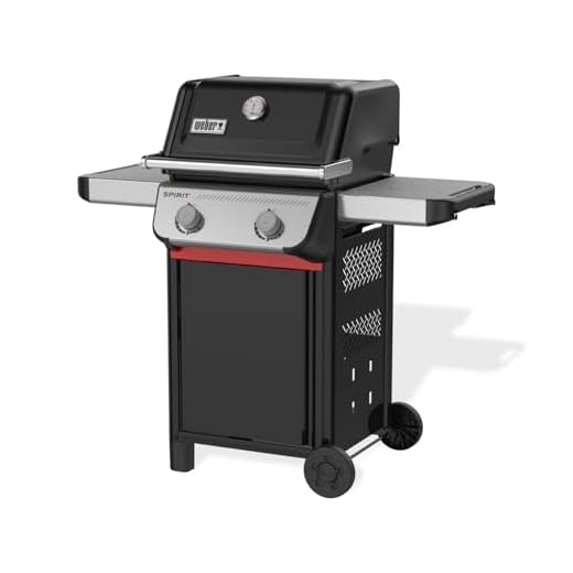 Weber Spirit E-210 barbecue a gas, 2 bruciatori, 51 x 46 cm superficie di cottura, griglia di mantenimento, termometro integrato, 2 ruote - Nero/Argento (1500835)