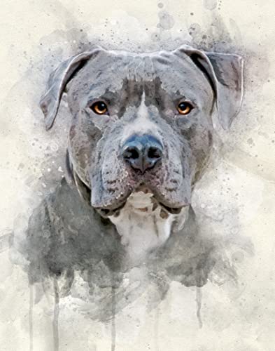 The Pawp Shop Grey Pit Bull Dog Watercolor Art Print In Various Sizes, Blue Nose Pitbull Wall Decor For A Nursery cover