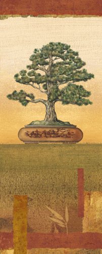 Amazon.com: Bonsai I Classic, Retro Japanese Bonsai Trees; Four