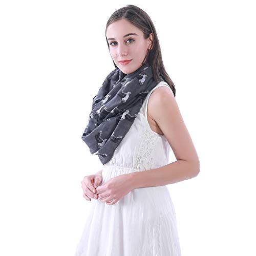 Border Collie Dog Print Women's Infinity Scarf Lightweight3
