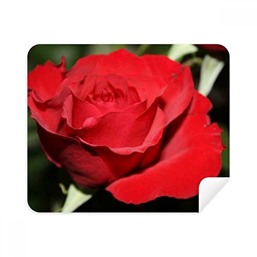 Nettoyant écran téléphone roses rouges pour vos accessoires nomades