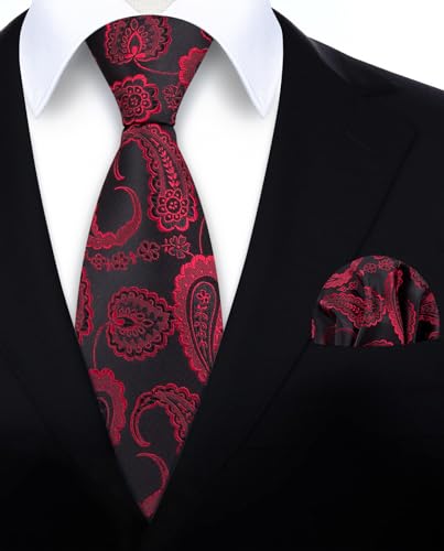 Image of HISDERN Ties for Men Paisley Tie and Pocket Square Woven Classic Floral Mens Ties Handkerchief Set Wedding Party Necktie