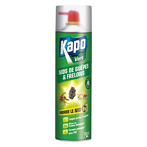 K.PRO VERT Aérosol Foudroyant Nids de Guêpes et Frelons 500ML - Action Foudroyante et diffusion longue portée jusqu'à 6 mètres - à base de pyrètre végétal