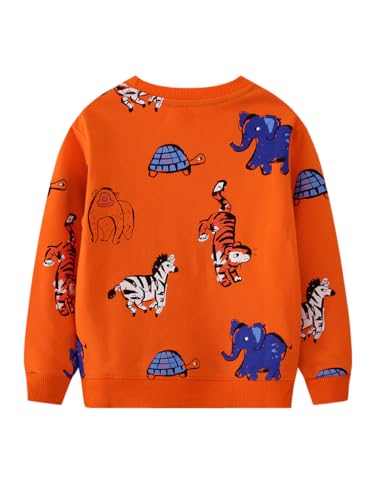 Boys Sweatshirts Casual Sweatshirts Cotton Sweatshirts Long Sleeve T-shirts Crew Neck Cartoon Tops for Boys-2042