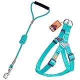 Jax Planet Dog Harness and Leash - Comfortable Leash and Harness for Small, Medium, Large Dogs - Perfect for Training, Includes D-Ring Harness & Leash Set