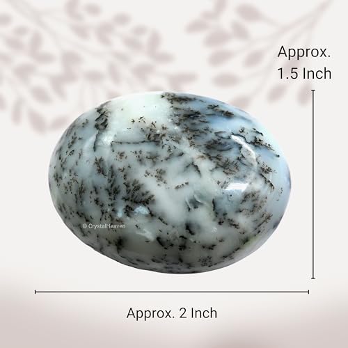Image of Certified Dendrite Opal Crystal Palm Pebbles Stones for Anxiety Stress Relief Massage - AAA Grade Original Healing Gemstone Agate Palm Stone for Yoga Meditation Spiritual Reiki Feng Shui