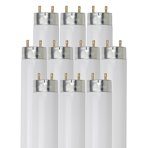 Sunlite 30246 F32T8/Sp850 4 Foot T8 Linear Fluorescent Light Bulb, 32 Watts, 3050 Lumens, Medium Bi-Pin (G13) Base, 5000K Daylight, High Performance, 10 Pack #TOP25