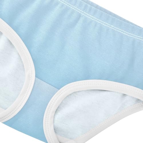 Joisal Elegant Blue Cute Gradient Panties for Girl Toddler Girls Underwear Cotton Personalized Briefs Underpants 2t4