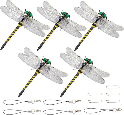  Ki x y{ƂقړTCYz 悯 g{ PVCގ Sst   ނ  x_ Ԍ  oR kނ Lv AEghA OƉp (5)