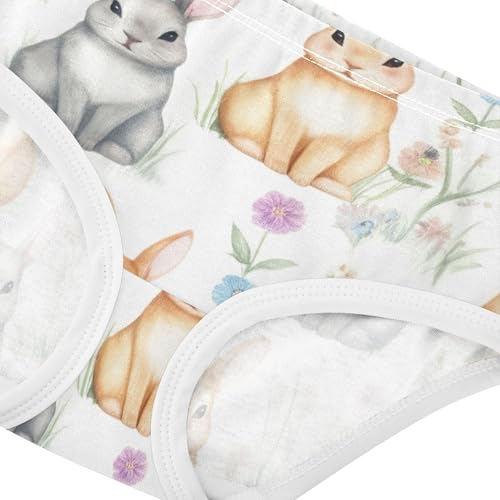 Cute Rabbits Grey Bunnies Floral Panties Little Girl Girls Underwear Toddler Cotton Stylish Underpants Briefs 2t4