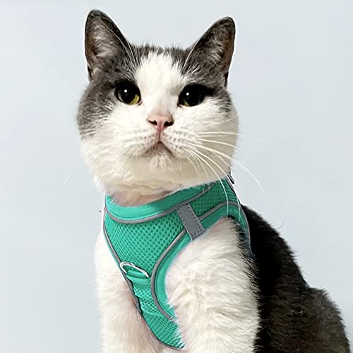 Joytale Step in Dog Harness,Soft Mesh Reflective Breathable Vest Harnesses,Easy Walk Harness with Safety Buckle for Cat,Puppies and Extra Small Dogs,XXS,Teal - Image 2
