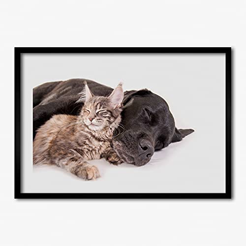 Cadre photo 70x50 cm Tulup en bois MDF avec affiche de chien et chat