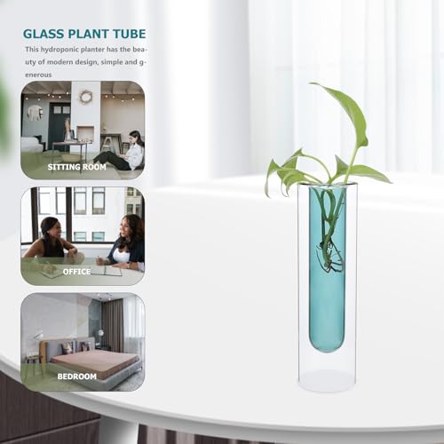 Jarrón de cristal jojofuny de doble capa para plantas pequeñas 7