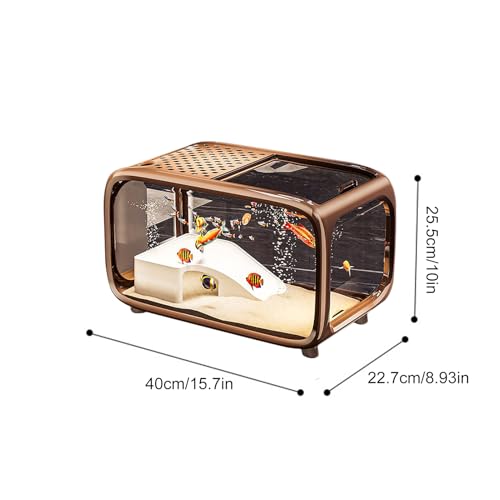 Betta aquarium paysage naturel pour sublimer la décoration de votre bureau ou salon moderne