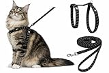 arnes para Gatos - Gato Grande Elza Negro - 22-32cm - 35-56cm - Correa 120cm - Nylon Ajustable - Reflectante - con mosqueton