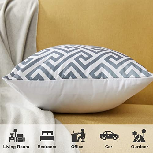 Topfinel Federe Cuscini Divano Tela in Cottone