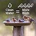 Microbe-Lift Bird Bath Clear Two-in-One Water Cleaner – 4 Oz – Safe for Birds, Fish & Frogs – Cleans Outdoor Birdbaths & Fountains – Natural Formula, Prevents Stains & Cloudiness