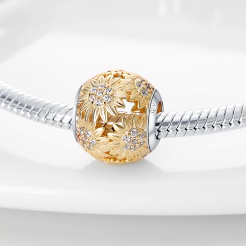 Pandach 925 Sterling Silver Charms for Bracelets Necklace with 5A CZ Stones Dangle Pendant Bead Jewelry Beads Gifts for Women3