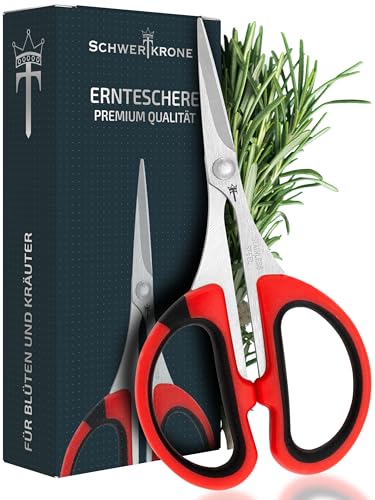 Schwertkrone Ciseaux de récolte pour herbes et bonsaï