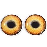 Light Brown Wolf Glass Eyes Realistic Animal Pair for Art Dolls, Sculptures, Props, Masks, Fursuits, Jewelry Making, Taxidermy, and More (40mm)