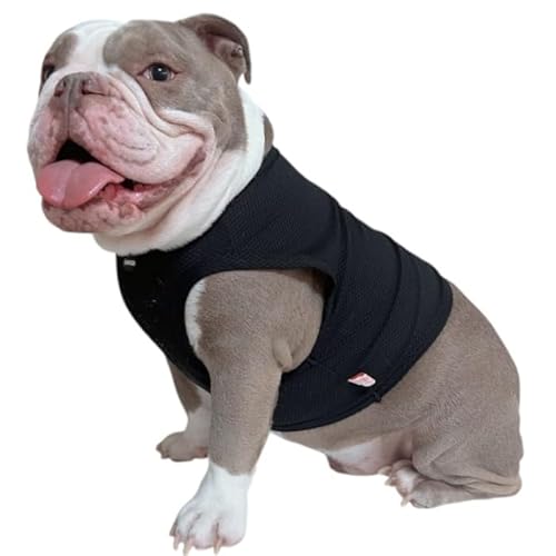 D DOGGY STAR フレブル服 接触冷感 メッシュ クール クロップド タンクトップ ひんやり 中型犬 大型犬 フレンチブルドッグ 夏 ドッギースター (黒, 2XL)