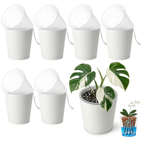 TineDew 6 Pack of 6in Plastic Cachepot with 6 inch Clear nusery Pot - self Watering Indoor Planter with Drainage for Root Visibility,semi Hydro pots for repotting Monstera,Orchids,Aroid,White