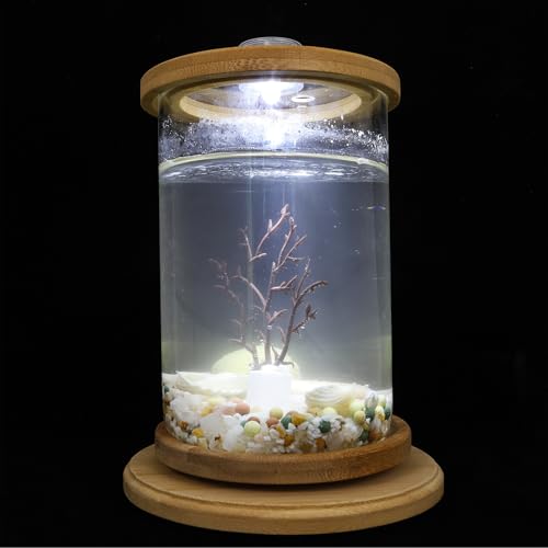 QUMIIRITY fXNgbvKXZbg ~NiϏܗpCeA ItBXƒpv[gp 1Set