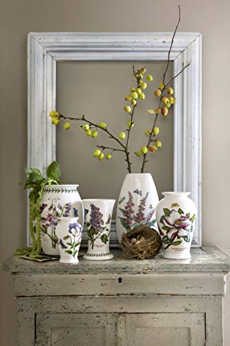 Portmeirion Home & Gifts BG62550 - Vaso da