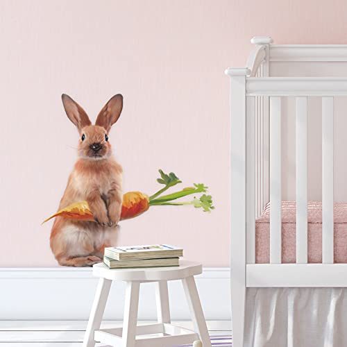 Vinilos decorativos con conejito y zanahoria, vinilo impermeable desmontable miniatura 6
