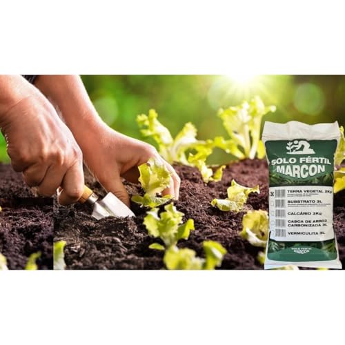 Terra Vegetal 2kg Orgânica Para Plantas Jardins Horta E Vasos