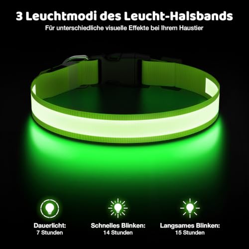 Leuchthalsband Hund, LED Hundehalsband Wiederaufladbar USB-C, Regendicht – Ansicht 4