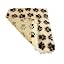 Cream/Brown Paw