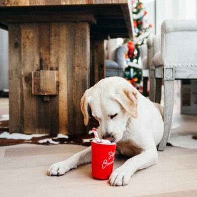 Holiday Classic - Hot Chocolate