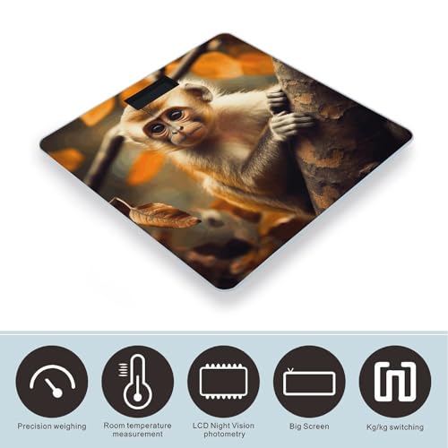 Báscula Digital de Baño con Pantalla LCD de Vidrio Templado miniatura 3