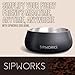 Sipworks Stainless Steel Dog Bowl – 32oz Weighted Metal Food and Water Bowls for Dogs and Cats with Non-Slip Base - Pet Bowls for All Breeds Sizes for Travel & Outdoor Play | Slate