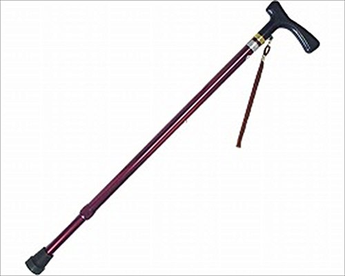 쏊 A~yʃXebL LkЂt/MK 65-1