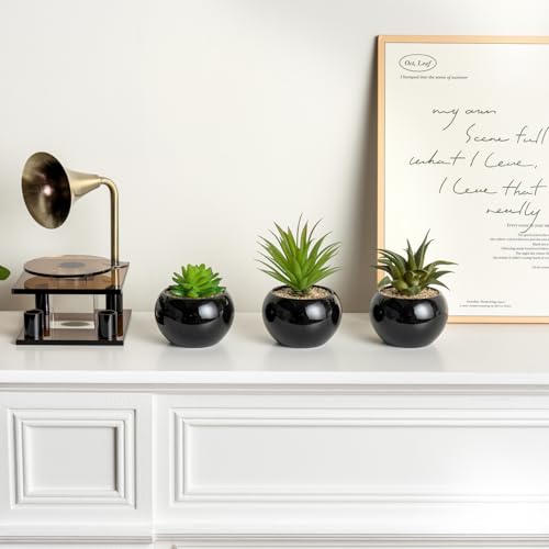MyGift-Mini-Assorted-Artificial-Succulents-in-Round-Black-Ceramic-Pots-Mixed-Realistic-Indoor-House-Plants-Set-of-3