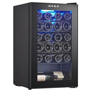 Wine Fridge 24 Bottle, Wine Cooler Refrigerator with 40~61°F Digital Temperature Control, Freestanding Wine Cellar for Red White Wine, Champagne, Beer with Blue Interior Light